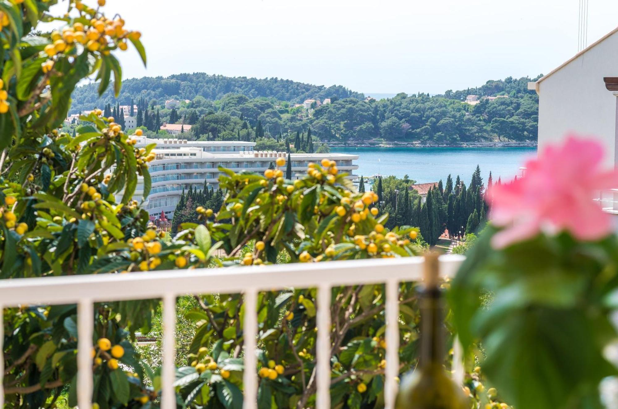 Villa Bind Cavtat Habitación foto